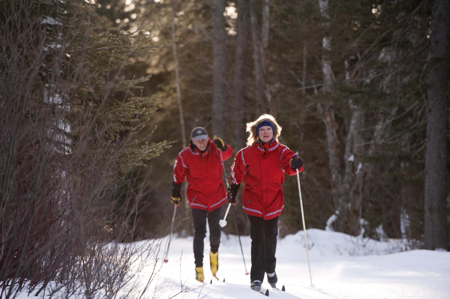 A skiing couple